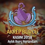 Akrep Burcu Kasım 2018 Yorumu