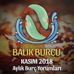 Balık Burcu Kasım 2018 Yorumu