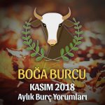 Boğa Burcu Kasım 2018 Yorumu