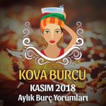 Kova Burcu Kasım 2018 Yorumu