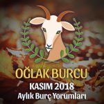 Oğlak Burcu Kasım 2018 Yorumu