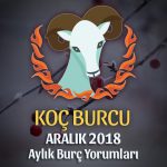 Koç Burcu Kasım 2018 Yorumu