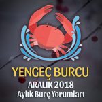 Yengeç Burcu Aralık 2018 Yorumu