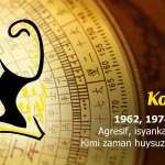 Kaplan Burcu Çin Astrolojisi