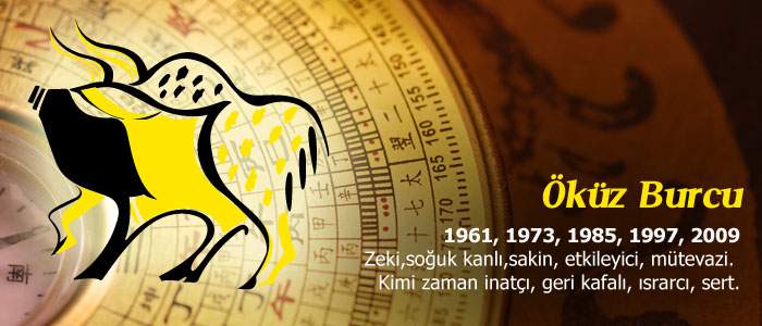 Öküz Burcu Çin Astrolojisi