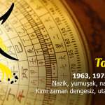 Tavşan Burcu Çin Astrolojisi