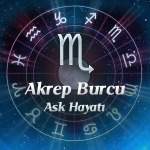 Bir Akrep Burcuna Mı Aşıksınız ?