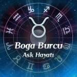 Bir Boğa Burcuna Mı Aşıksınız ?