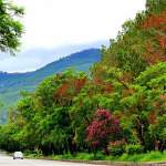 Ataturk Avenue(cadde) - Islamabad, Pakistan