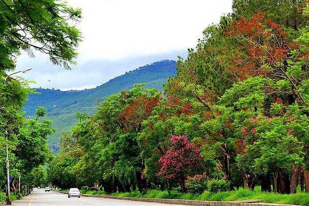 Ataturk Avenue(cadde) - Islamabad, Pakistan