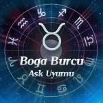 Boğa Burcu Aşk Uyumu