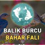 balik-burcu-bahar-fali