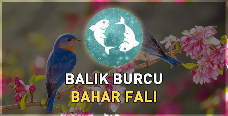 Balık Burcu Bahar Yorumu