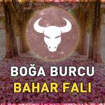 boga-burcu-bahar-fali