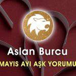 Aslan Burcu Mayıs Ayı Aşk Hayatı