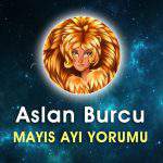 Aslan Burcu Mayıs Ayı Aşk Hayatı