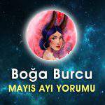 Boğa Burcu Mayıs Ayı Aşk Hayatı