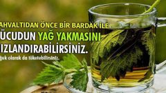 Maydanoz Çayının Faydaları
