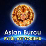 Aslan Burcu Ağustos Ayı Yorumu