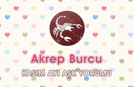 Akrep Burcu Kasım 2016 Aşk Yorumu