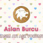 Aslan Burcu Kasım Ayı Aşk Yorumu