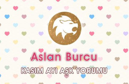 Aslan Burcu Kasım 2016 Aşk Yorumu