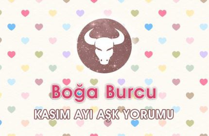Boğa Burcu Kasım 2016 Aşk Yorumu