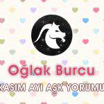 Oğlak Burcu Kasım Ayı Aşk Yorumu