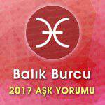 Balık Burcu 2017 Yorumu