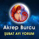 Akrep Burcu Şubat 2017 Yorumu