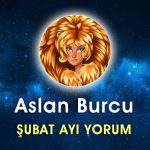 Aslan Burcu Şubat 2017 Yorumu