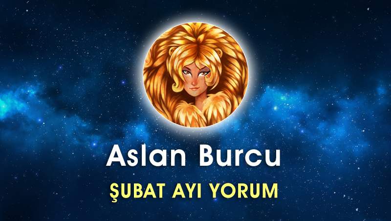 Aslan Burcu Şubat 2017 Yorumu