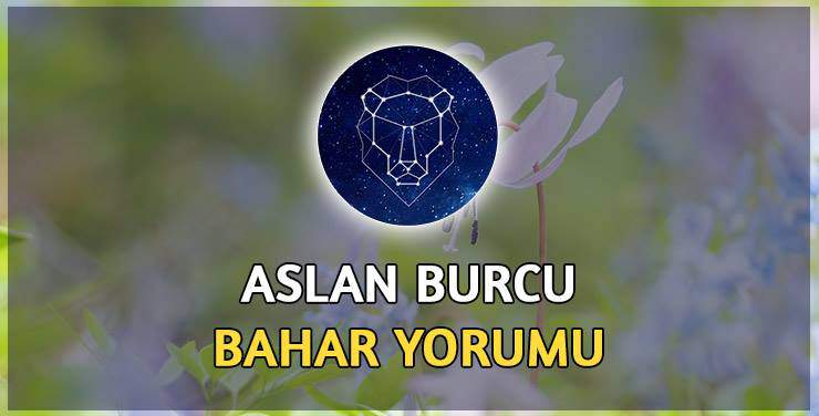 Aslan Burcu Bahar 2017 Yorumu