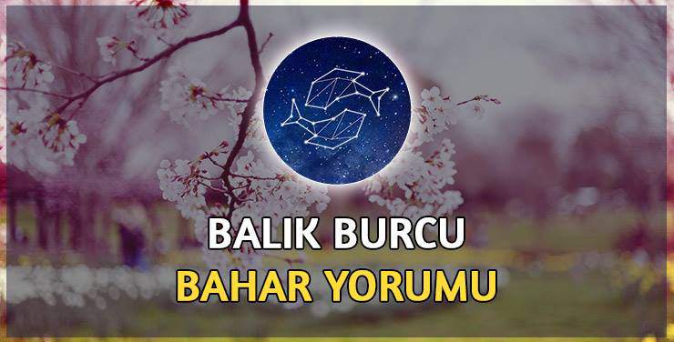 Bahar Burcu Bahar 2017 Yorumu