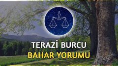 Terazi Burcu Bahar 2017 Yorumu
