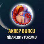 Akrep Burcu 28 Mart Yeniay