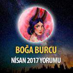 Boğa Burcu Nisan 2017 Yorumu