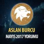 Aslan Burcu Mayıs 2017 Yorumu