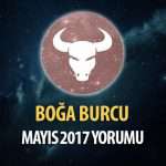 Boğa Burcu Mayıs 2017 Yorumu