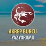 Akrep Burcu 2017 Yaz Yorumu