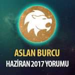 Aslan Burcu Haziran 2017 Yorumu