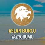 Aslan Burcu 2017 Yaz Yorumu