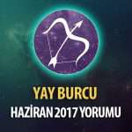 Yay Burcu Haziran 2017 Yorumu