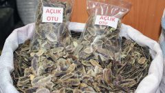 Açlık Otu Nasıl Kullanılır