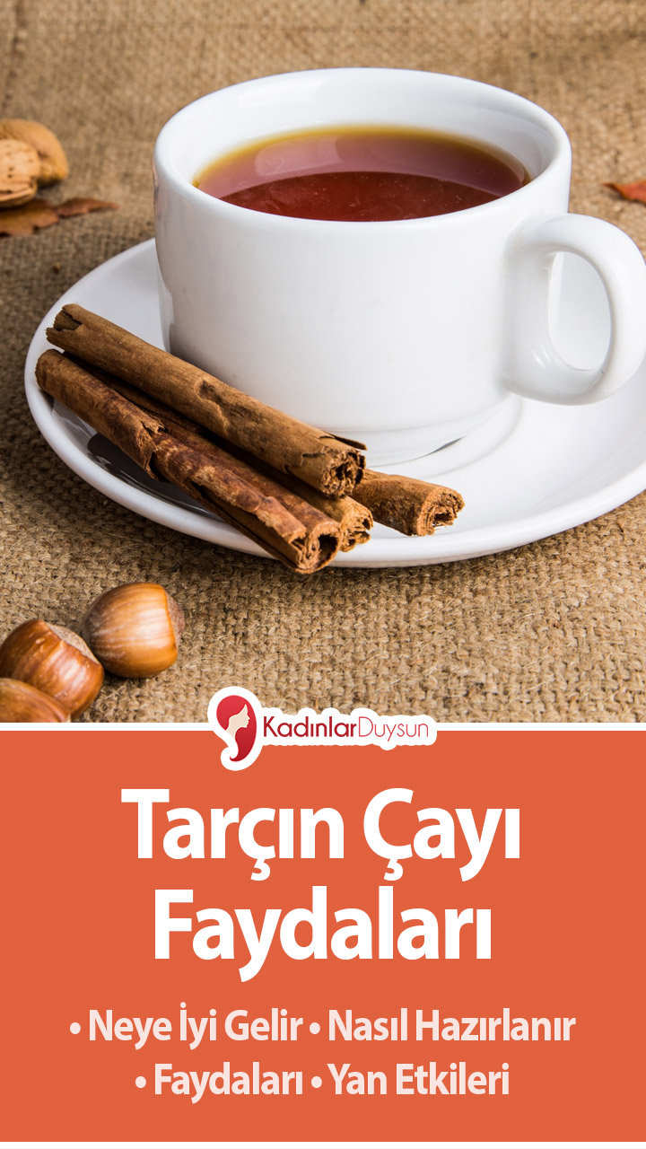 Tarçın Çayının Faydaları Nelerdir Tarçın Çayının Faydaları Nelerdir