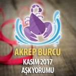 Akrep Burcu Kasım 2017 Aşk Yorumu