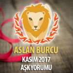 Aslan Burcu Kasım 2017 Aşk Yorumu