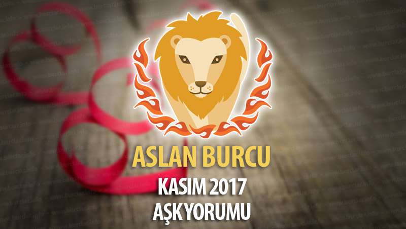 Aslan Burcu Kasım 2017 Aşk Yorumu