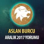 Aslan Burcu Aralık 2017 Yorumu