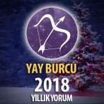 Yay Burcu 2018 Yorumu